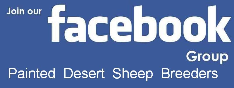 facebook-group-logo1.jpg